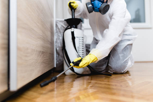 Best Rat Extermination Near Me  in Angels, CA