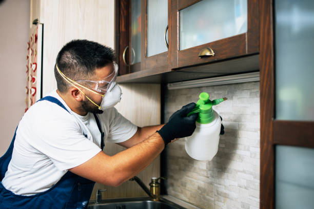 Best Pest Inspection Near Me  in Angels, CA