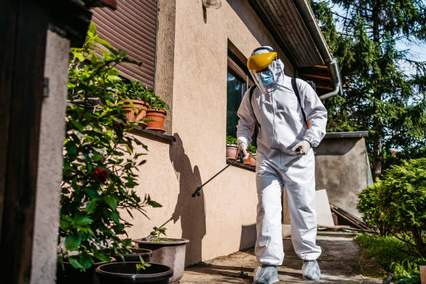 Spider Control Near Me in Angels, CA