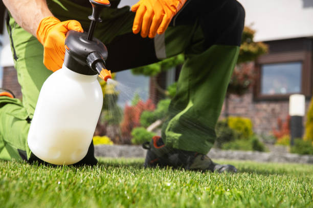 Best Best Pest Control Companies  in Angels, CA