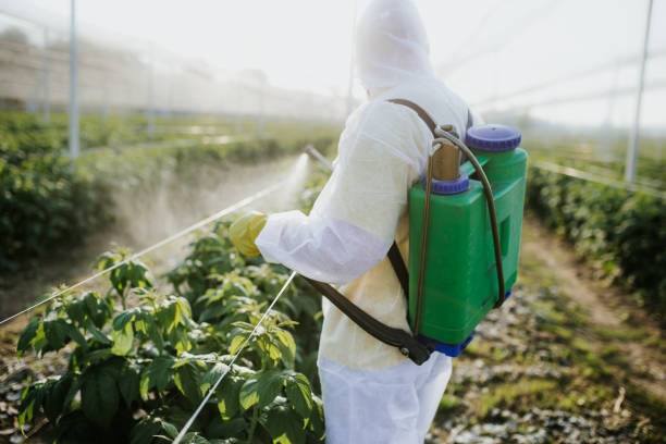 Best Emergency Pest Control  in Angels, CA